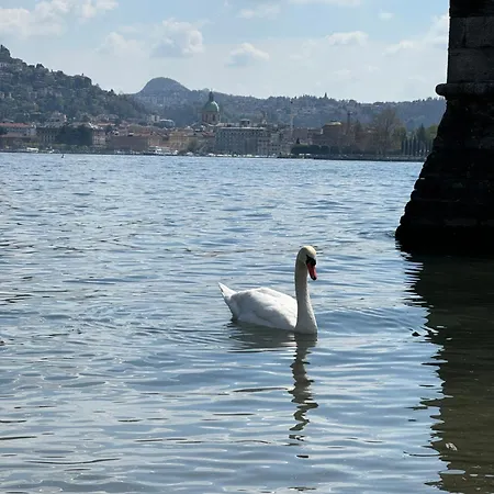 Portatorre Suite, A Charming In The Heart Of Como, Free Private Parking, Air Conditioning & More! Комо